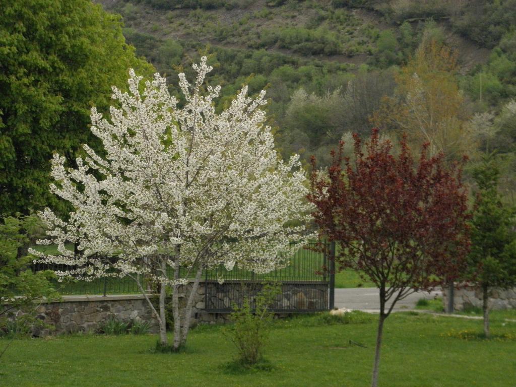 Hotel La Mora Villaseca de Laciana Exteriör bild